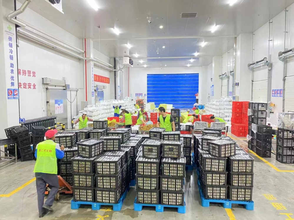 从果园到餐桌：茂名荔枝的电商丰收季(图3)