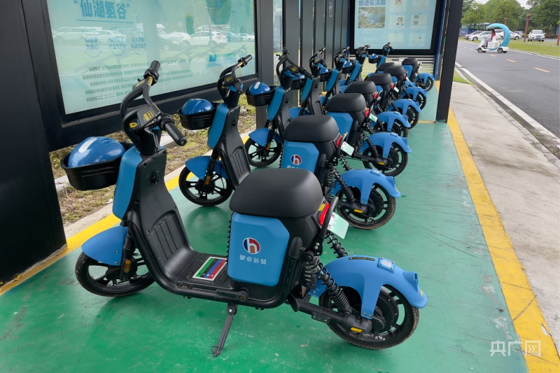 赋能绿色发展佛山修炼点“绿”成金的中国式现代化新“功夫”(图2)