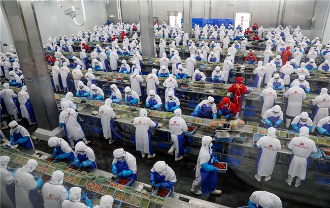 深耕社区央厨锅圈小龙虾如何从地理标志产地直抵餐桌(图4)