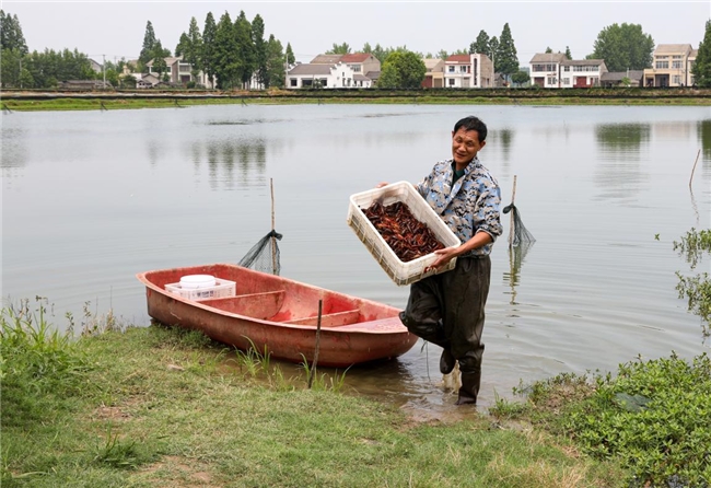 深耕社区央厨锅圈小龙虾如何从地理标志产地直抵餐桌(图2)