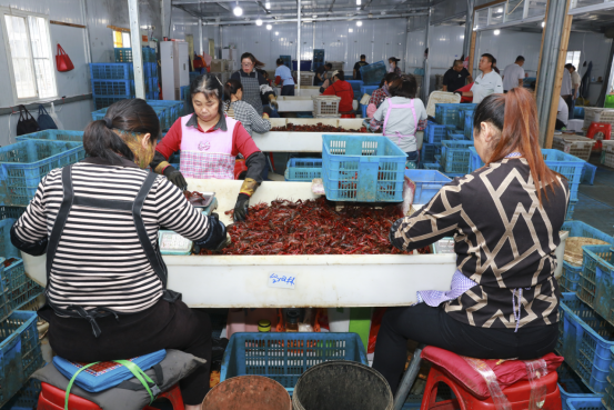 当涂小龙虾“爬”上全国大餐桌(图2)