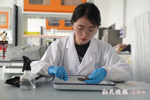 世界海洋日丨探秘高校创新实验室：海洋入kaiyun体育网页版侵物种竟影响餐桌地球净土也积聚新污染物(图2)