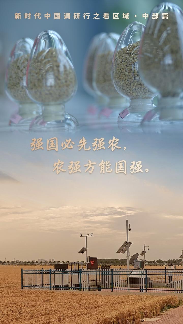 新时代中国调研行之看区域·中部篇｜融媒一线：看如此“接地开云体育气”的科幻“农”景(图1)