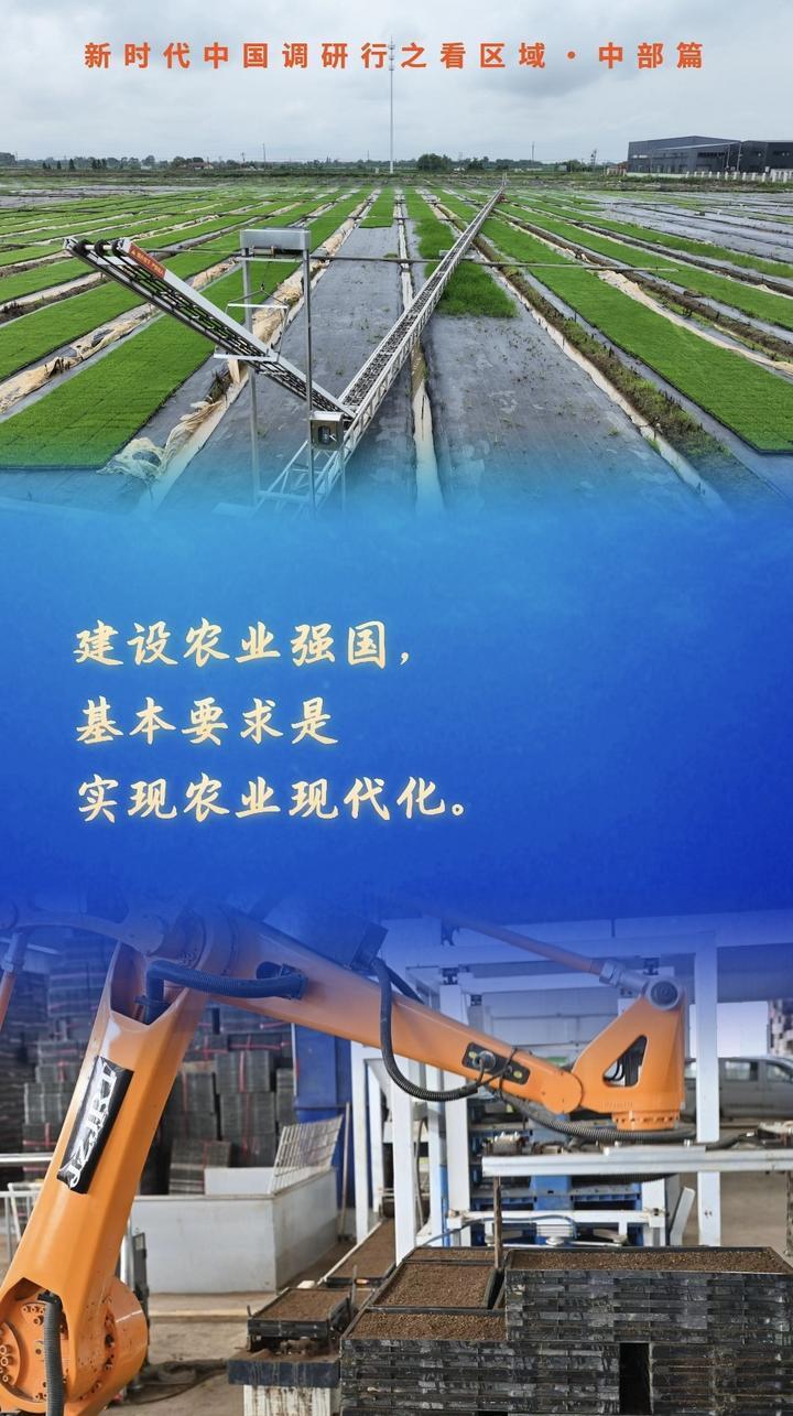 新时代中国调研行之看区域·中部篇｜融媒一线：看如此“接地开云体育气”的科幻“农”景(图5)