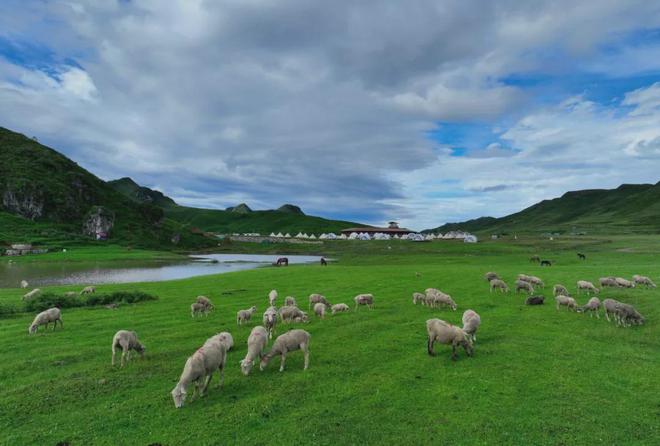 不想卷了！就来贵州来场chill露营轻松实现“随地大小躺”kaiyun体育全站(图5)