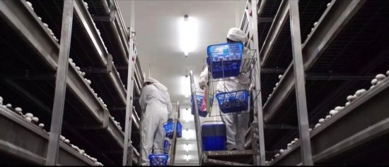 “绿岛”串起产业生态链走出生态发展新路径(图3)