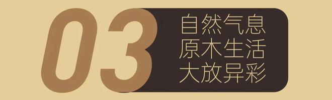 2024青岛国际家具展全国最大规模『原木风家具』5月集中展示！(图2)
