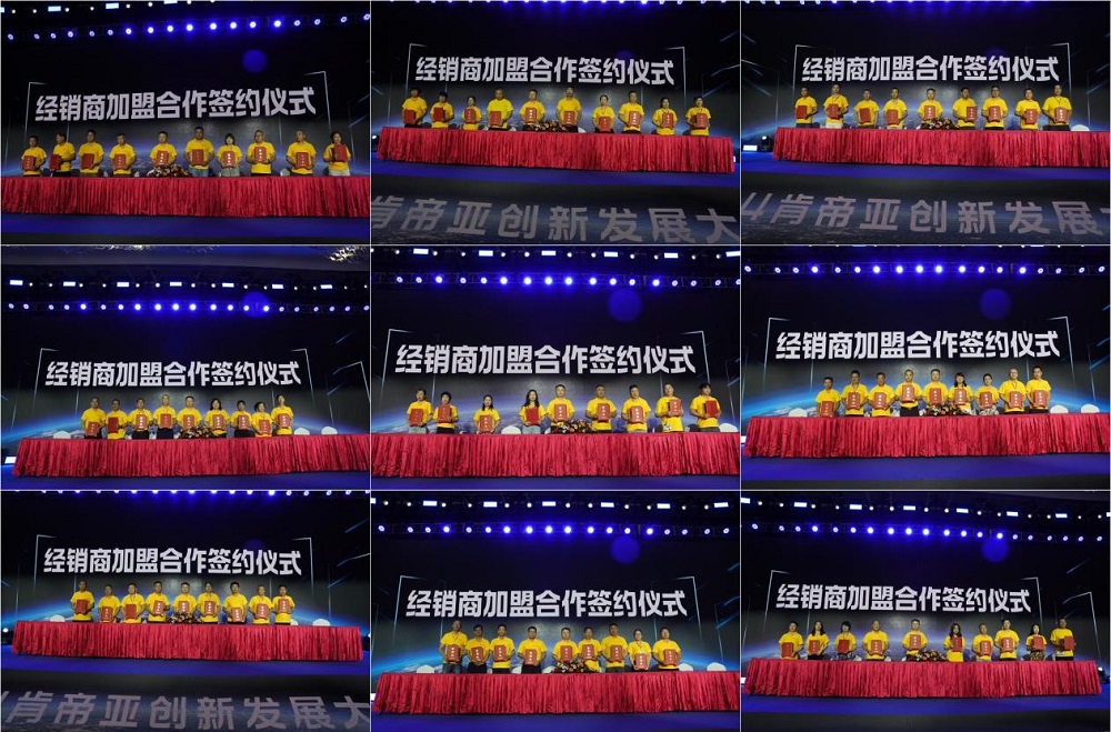 开启美好生活肯帝亚2024木门八大新品系列隆重上(图9)