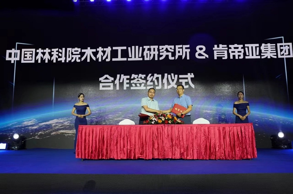 开启美好生活肯帝亚2024木门八大新品系列隆重上(图8)