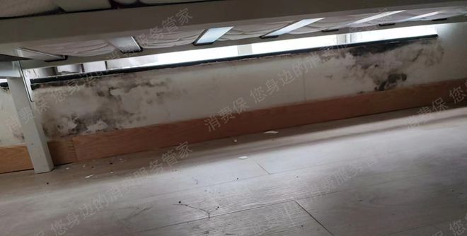kaiyun体育全站房屋变“霉屋”、公共区域成“吸烟室”无责退租难自如租房并不“自如”(图7)