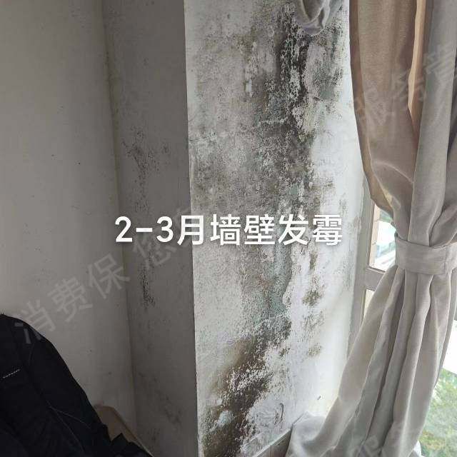 kaiyun体育全站房屋变“霉屋”、公共区域成“吸烟室”无责退租难自如租房并不“自如”(图4)