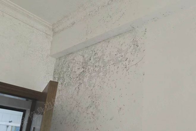 kaiyun体育全站房屋变“霉屋”、公共区域成“吸烟室”无责退租难自如租房并不“自如”(图6)