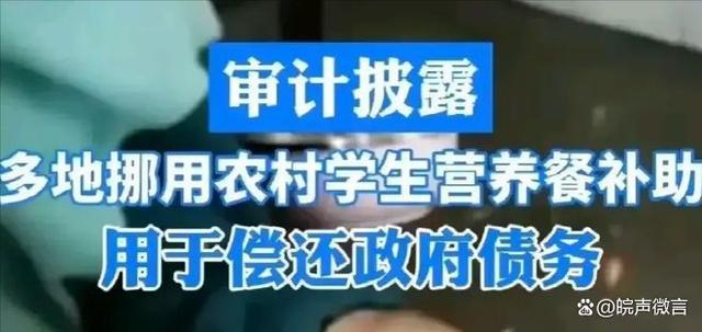 大V：营养餐真在孩子餐桌出现过吗？巨额补助去哪了？(图1)