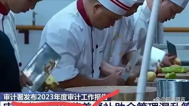大V：营养餐真在孩子餐桌出现过吗？巨额补助去哪了？(图3)