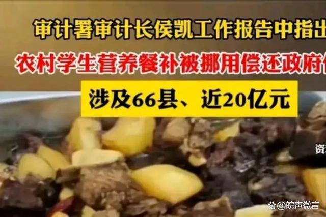 大V：营养餐真在孩子餐桌出现过吗？巨额补助去哪了？(图2)