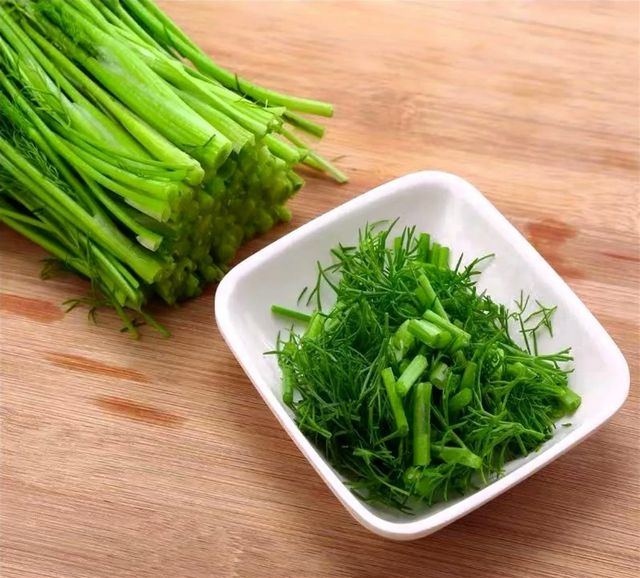 茴香怎么吃？味蕾盛宴探索茴香的百变吃法让餐桌更添风味！(图4)