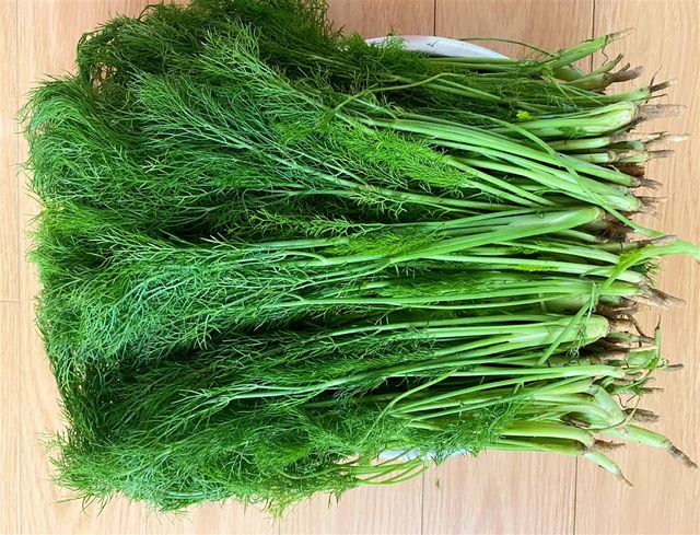 茴香怎么吃？味蕾盛宴探索茴香的百变吃法让餐桌更添风味！(图2)