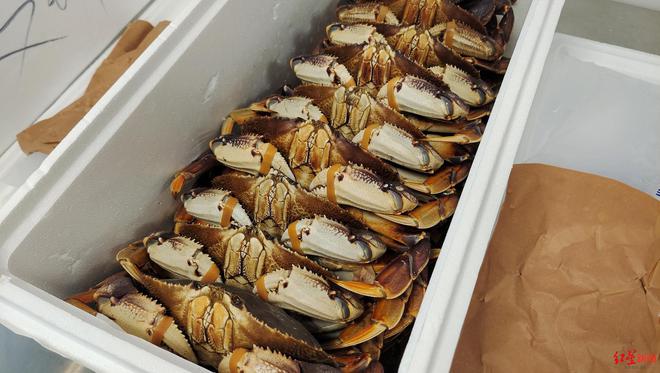 温哥华→成都！珍宝蟹22小时洲际穿越端上成都人餐桌｜开箱了大飞机(图2)