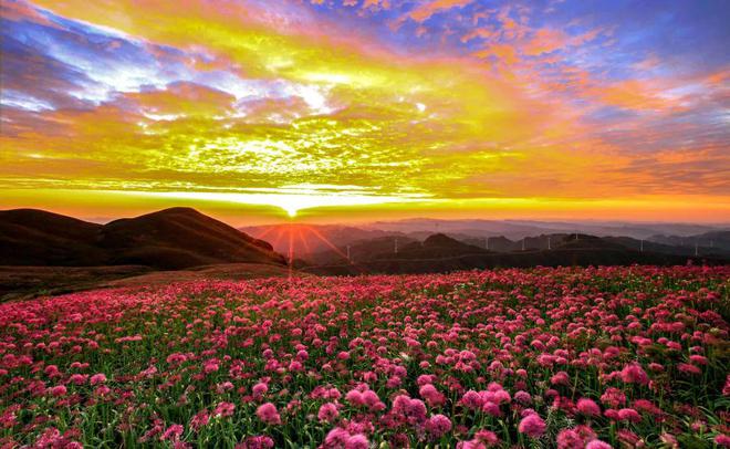 kaiyun体育全站这才是贵州夏季最顶避暑路线肉测好耍还藏了个“阿勒泰”！(图18)