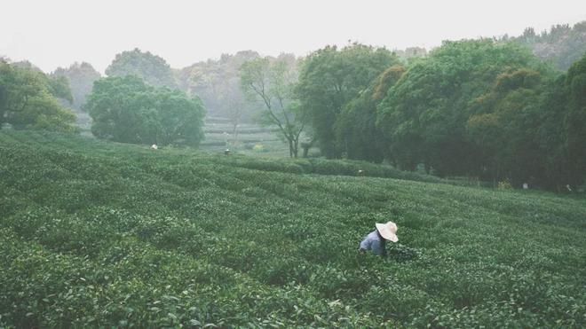 万科朗拾花语2024网站·上海闵行@中铁建万科朗拾花语欢迎您(图15)