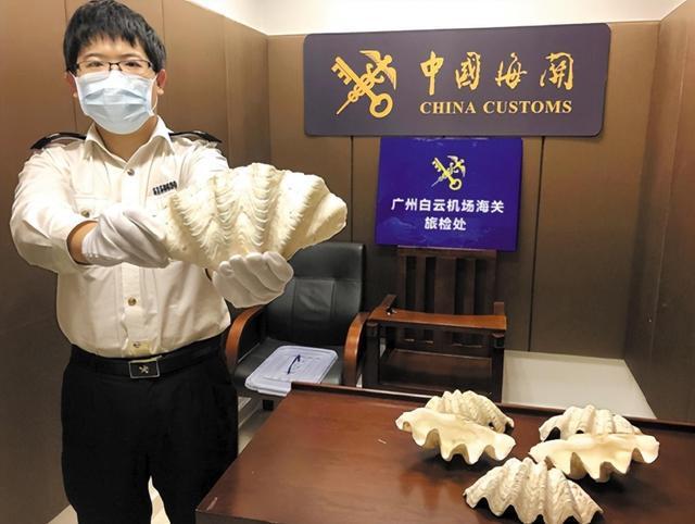 kaiyun体育全站在中国被誉为国宝在日本却端上餐桌食用？还有保护必要吗？(图3)