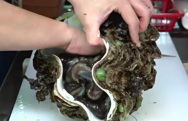 kaiyun体育全站在中国被誉为国宝在日本却端上餐桌食用？还有保护必要吗？(图4)