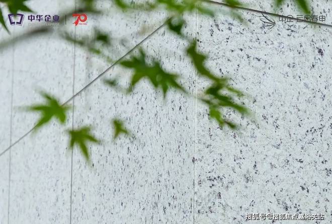 中企云启春申2024网站-中企云启春申楼盘详情-上海房天下(图4)