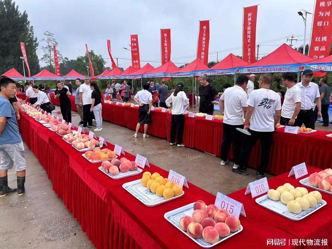 强强联手！顺丰与顺平供销社成功举办顺平2024年“桃王争霸赛”(图1)