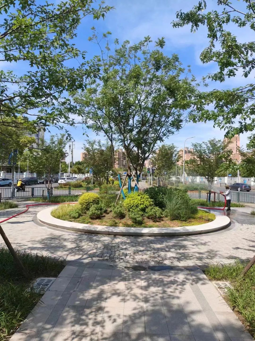 休憩、散步、打篮球……闵行又有新绿地建好啦(图3)