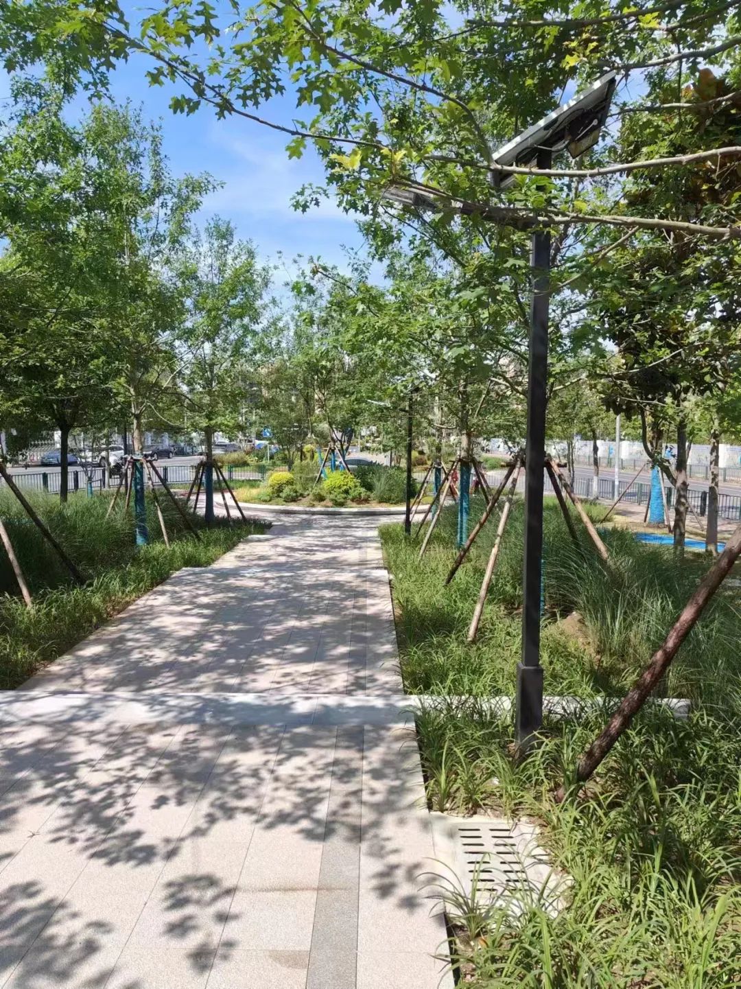 休憩、散步、打篮球……闵行又有新绿地建好啦(图2)
