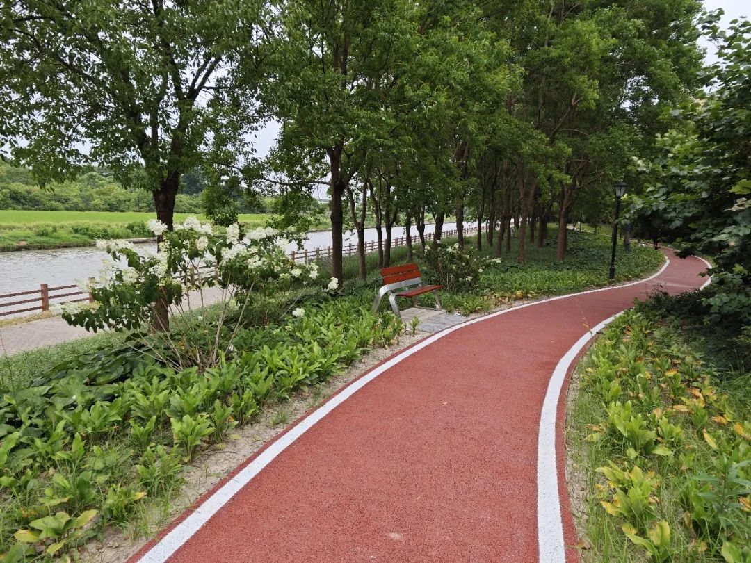 休憩、散步、打篮球……闵行又有新绿地建好啦(图7)