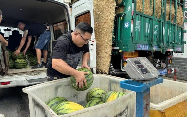 夏淡时节市民餐桌如何绿意盎然？“伏缺期”高原蔬菜成新宠(图2)