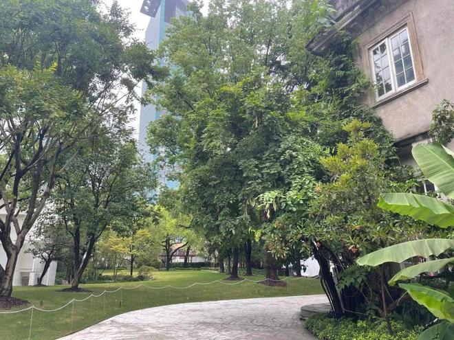 美得惊人！陕西北路这栋百年老宅近年来首次对外开放(图2)