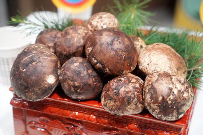 “川工带川货”助山珍实惠“鲜”达各地餐桌——2024“圣洁甘孜”普惠·松茸节在蓉启动(图4)