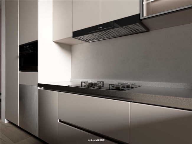 生而非凡：皮阿诺哈曼系列不锈钢橱柜打造致净厨房空间(图5)