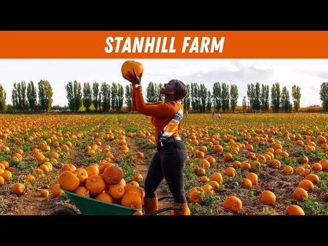 英国夏季亲身体验农家乐采摘采完就端上餐桌的快乐谁懂？!(图13)