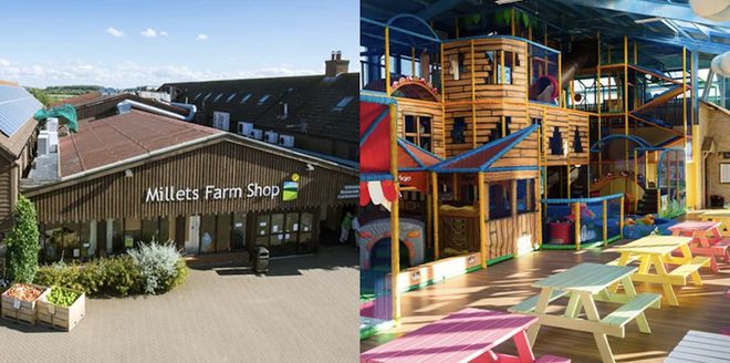 英国夏季亲身体验农家乐采摘采完就端上餐桌的快乐谁懂？!(图16)