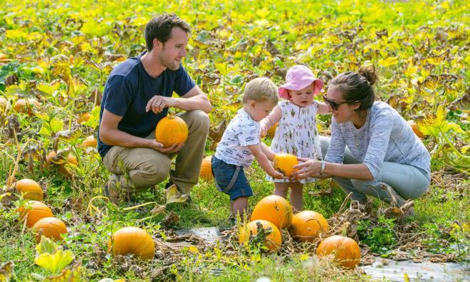 英国夏季亲身体验农家乐采摘采完就端上餐桌的快乐谁懂？!(图18)