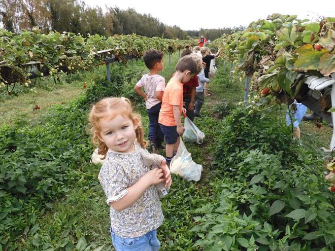 英国夏季亲身体验农家乐采摘采完就端上餐桌的快乐谁懂？!(图5)
