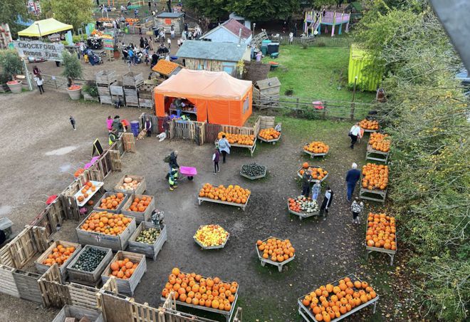 英国夏季亲身体验农家乐采摘采完就端上餐桌的快乐谁懂？!(图7)
