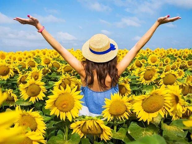 英国夏季亲身体验农家乐采摘采完就端上餐桌的快乐谁懂？!(图14)