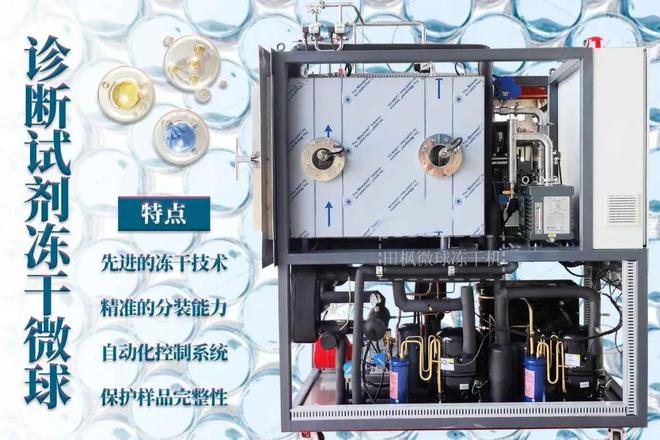 冬阴功汤的冻干之旅：从厨房到餐桌(图2)