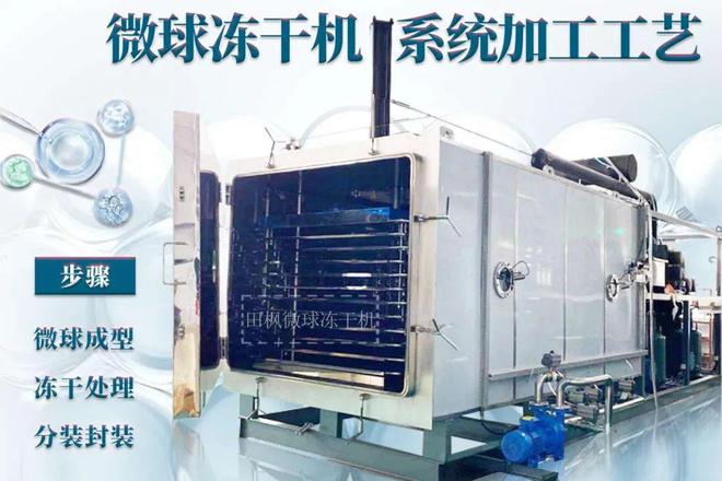 冬阴功汤的冻干之旅：从厨房到餐桌(图3)