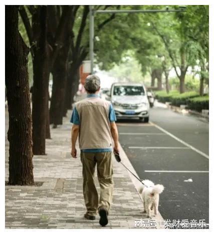 我觉得68岁的公公很聪明他从不跟我们在一个饭桌上吃饭(图1)