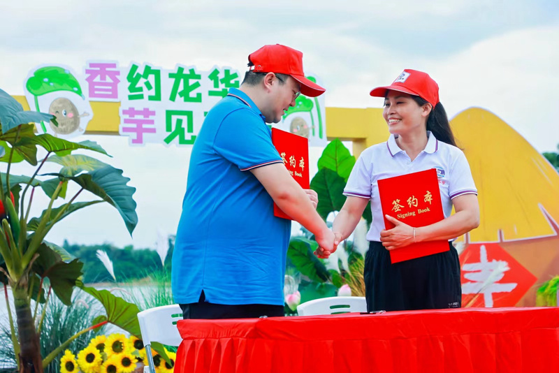 2024海口市龙华区湿地丰收节暨第三届香芋节举行(图3)