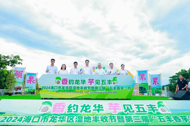 2024海口市龙华区湿地丰收节暨第三届香芋节举行(图2)