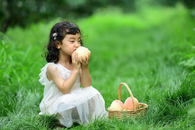 新华日报刊发阳山蜜桃：才下枝头就上国际餐桌(图1)