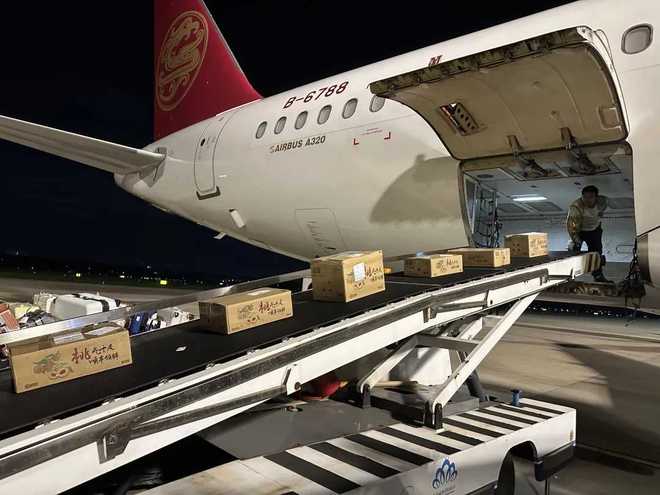 新华日报刊发阳山蜜桃：才下枝头就上国际餐桌(图5)