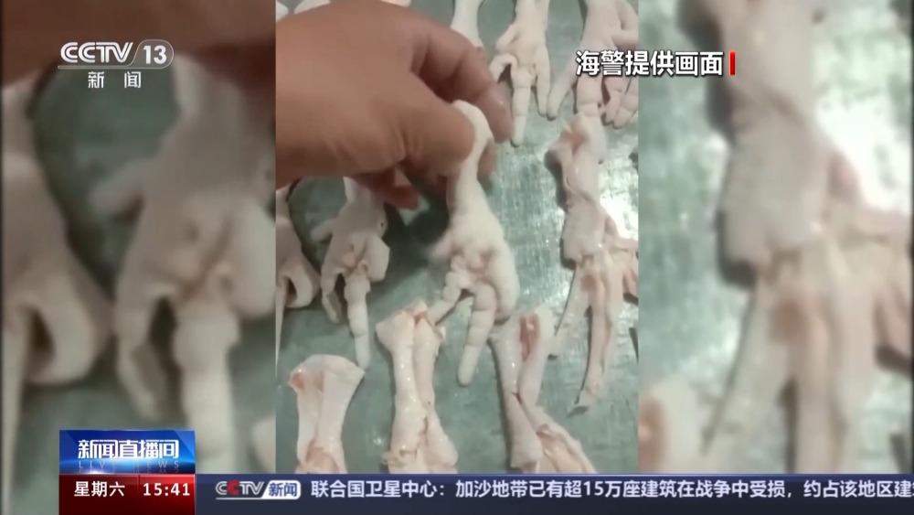 2500余吨走私冻品流向百姓餐桌路上警方出手了(图6)