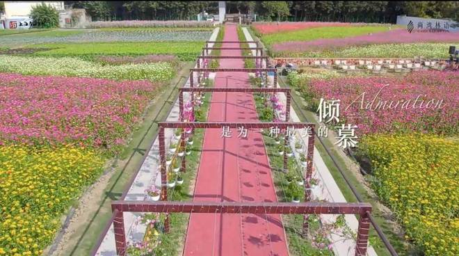 『尚湾林语』2024网站-闵行尚湾林语详情-上海房天下(图30)